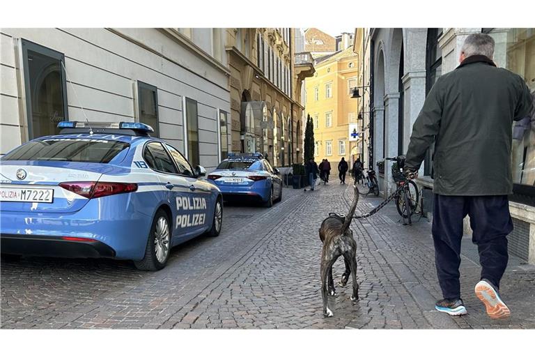 Einheimische Hundehalter sollen künftig eine Hundesteuer in Höhe von 100 Euro im Jahr zahlen.