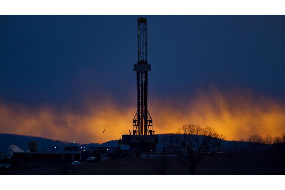 Einheimische Rohstoffe rücken in unsicheren Zeiten wieder verstärkt in den Blick.