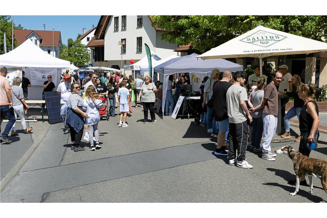 Einige Besucherinnen und Besucher sind auch mit ihren Hunden unterwegs. 