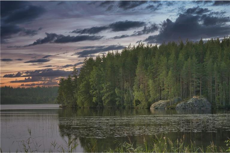 Einige Diterpene im Harz heutiger Nadelbäume entstanden bereits vor 300 Millionen Jahren, lange bevor es Kiefern, Fichten oder Tannen in ihrer heutigen Form gab.