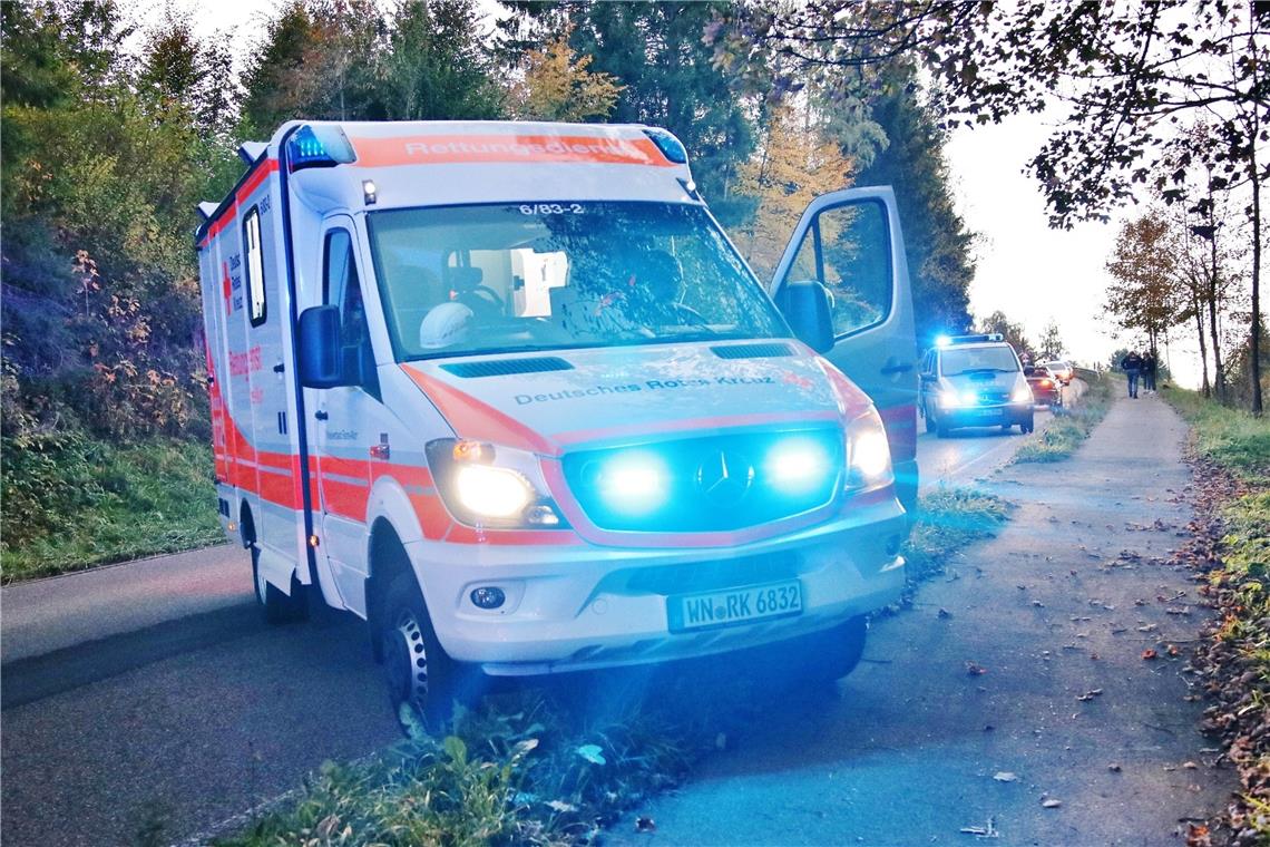 Einsatz für den Rettungsdienst auf der L1120 bei Althütte: Bei dem Auffahrunfall wurden vier Personen verletzt. Foto: 7aktuell.de/ Lermer