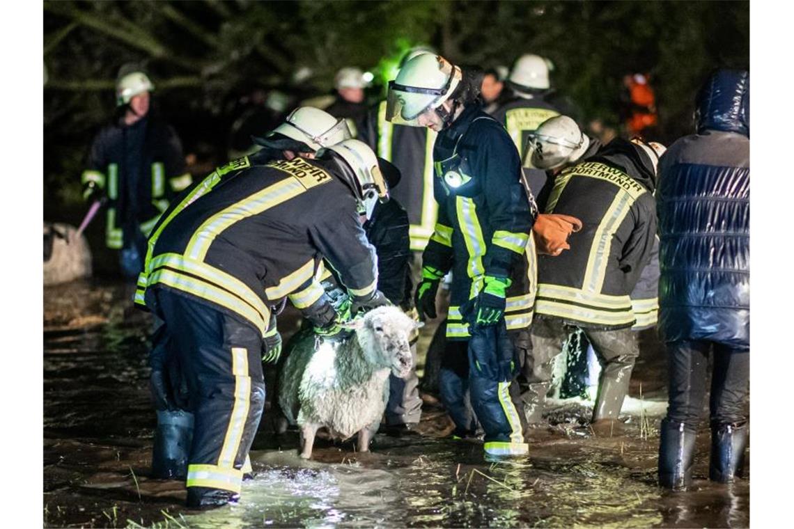 Sturm „Mortimer“ bremst die Bahn: Stop-and-go im Fernverkehr Einsatzkräfte der Feuerwehr tragen ein Schaf über eine überflutete Wiese. Starke Regenfälle haben eine Weide mit rund 300 Schafen in Dortmund geflutet. Foto: Marcel Kusch