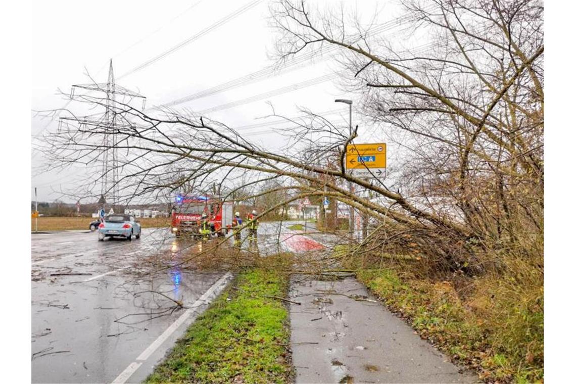 Einsatzkräfte räumen einen Baum von der Straße, der nach einem Wind umgefallen war. Foto: Marco Friedrich / Einsatzreport2/dpa/Archivbild