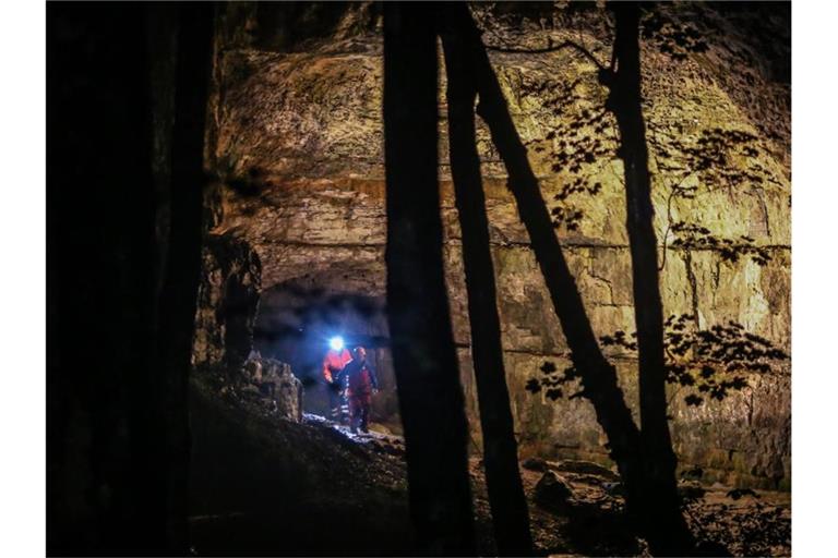 Einsatzkräfte stehen am Eingang der Falkensteiner Höhle. Foto: Christoph Schmidt/dpa/Archivbild