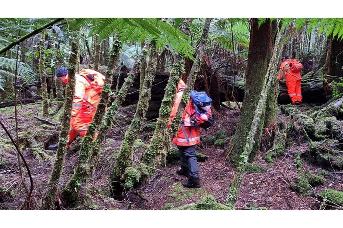 Einsatzkräfte suchten 2023 die dichten Wälder Tasmaniens nach der 31-Jährigen ab. (Archivbild)