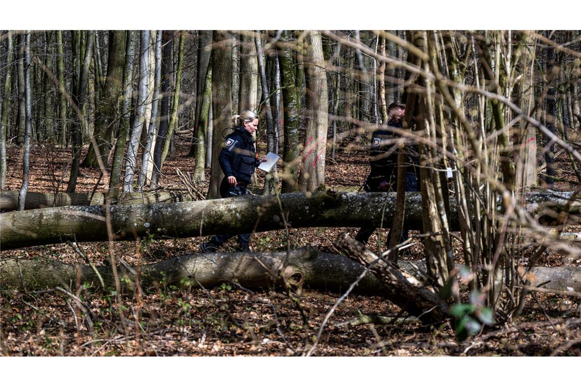 Einsatzkräfte untersuchen den Baum.