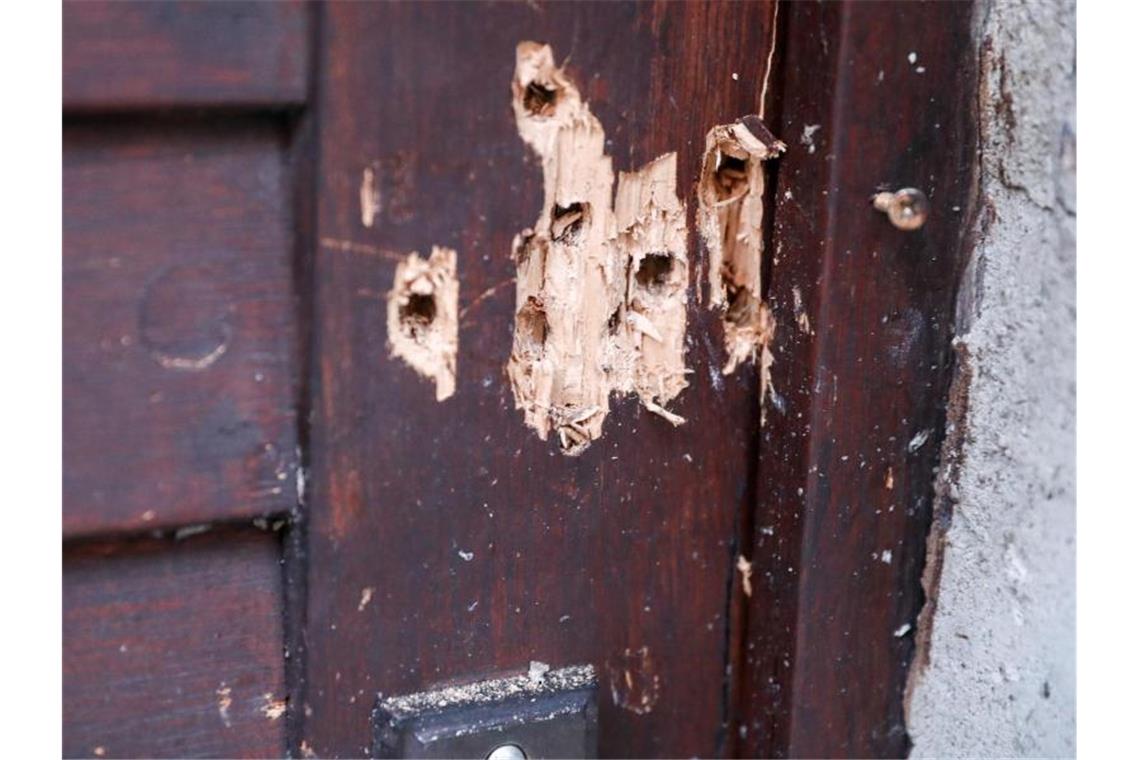 Synagogentür von Halle soll Ort des Gedenkens werden Einschusslöcher an der Synagogentür zeugen von dem Terroranschlag. Foto: Jan Woitas/zb/dpa