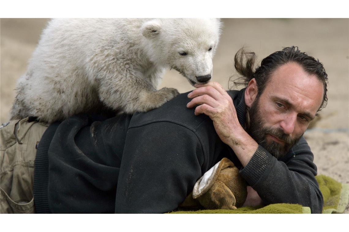 Museumsdirektor: Hype um Eisbär Knut kaum mehr spürbar Eisbar Knuts besondere Geschichte verzückte viele: Er wurde von seinen Pfleger Thomas Dörflein aufgezogen. (Archivbild)
