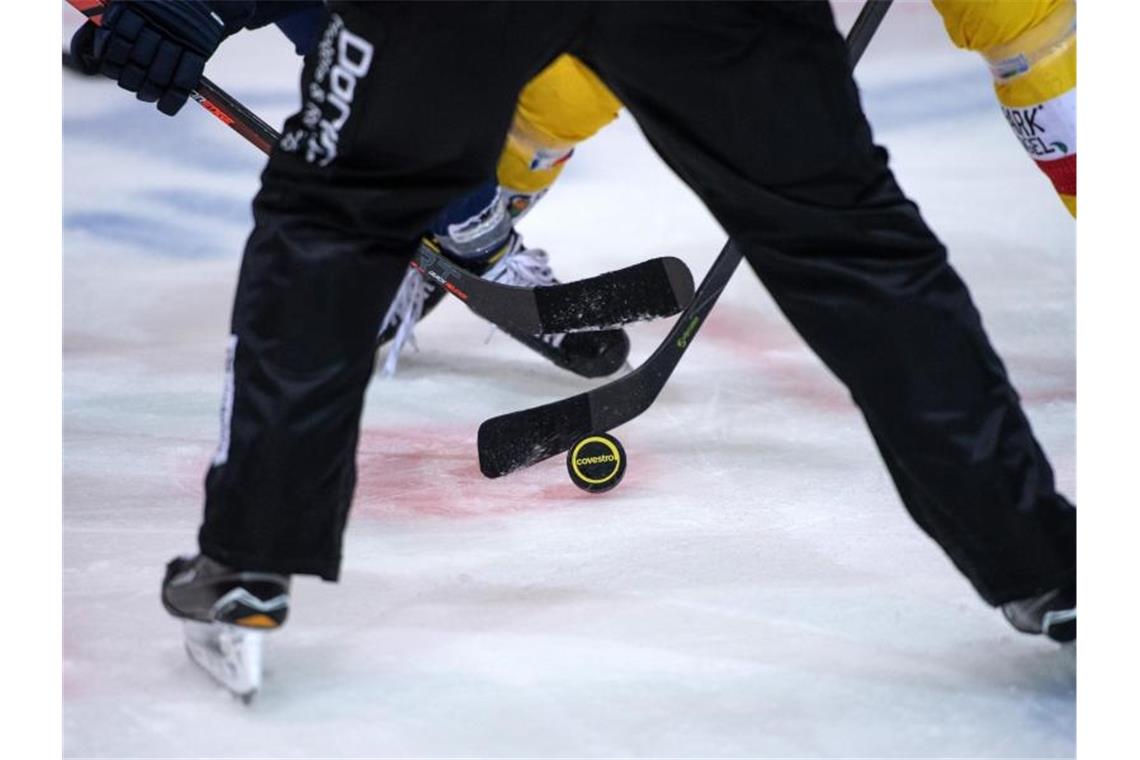 Wild Wings reichen Hygienekonzept ein Eishockeyspieler kämpfen nach dem Bully um den Puck. Foto: Bernd Thissen/dpa/Symbolbild