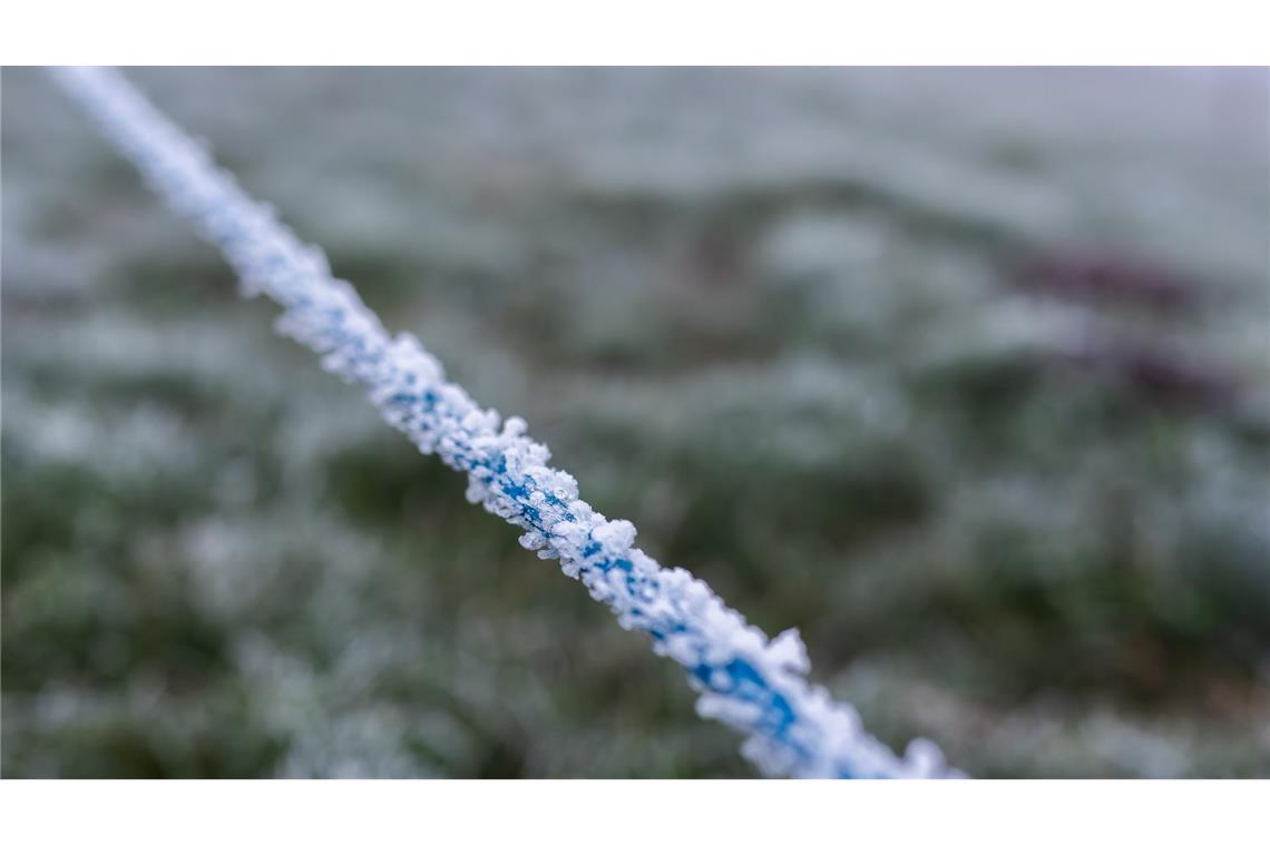 Frostige Nächte und kühles Wetter Eisige Temperaturen im Hochschwarzwald