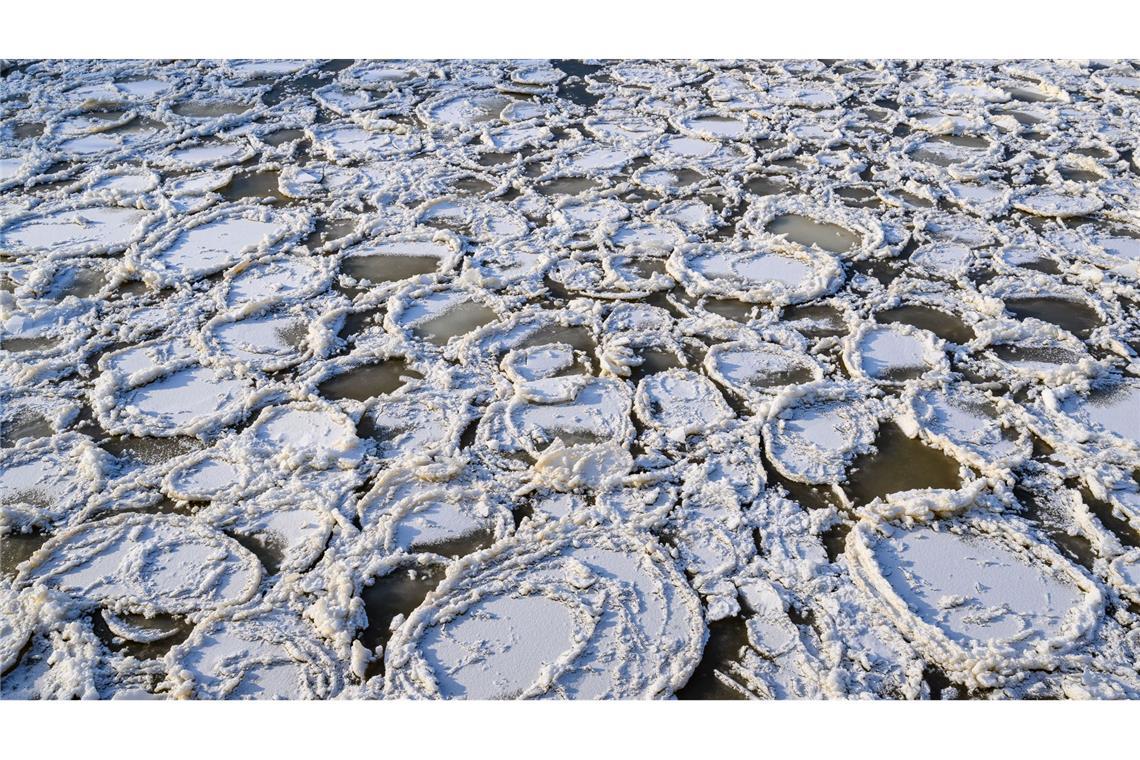 Eisteller auf der Oder