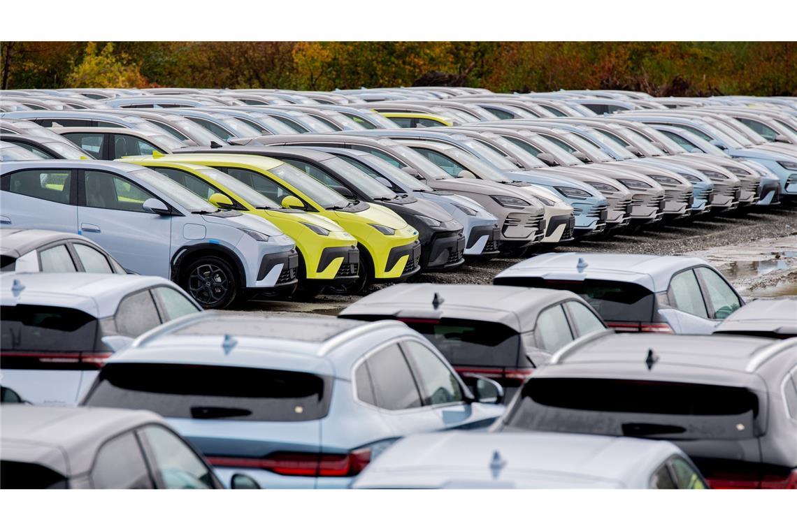 Elektroautos von BYD: Das Unternehmen stand in den ersten drei Quartalen für fast ein Viertel der chinesischen Produktion. (Archivbild)