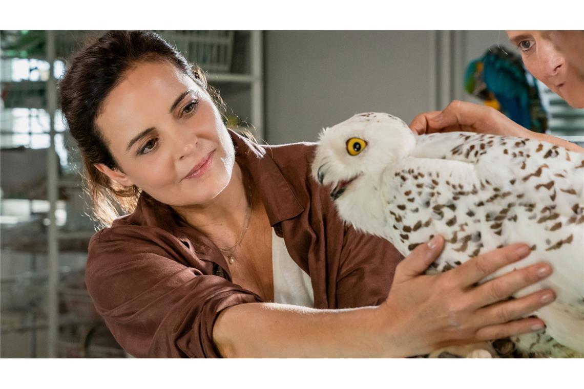 Elisabeth Lanz spielt schon seit 2006 die Tierärztin Dr. Susanne Mertens für die ARD. (Archivbild)