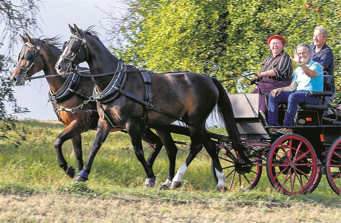 Ella Friedrich kutschiert Frank Nopper und Roland Stampfl von Germannsweiler nach Waldrems. Zeit, um sich auf der anstrengenden Tour ein wenig zu erholen.