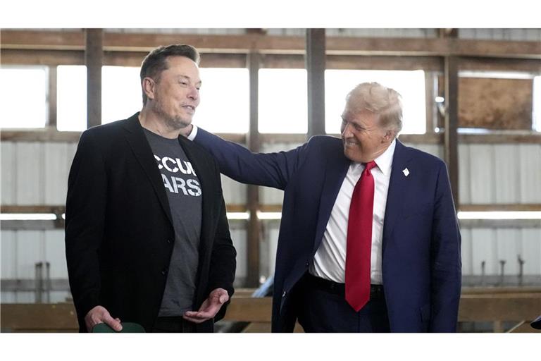 Elon Musk war monatelang enger Verbündeter von Donald Trump.