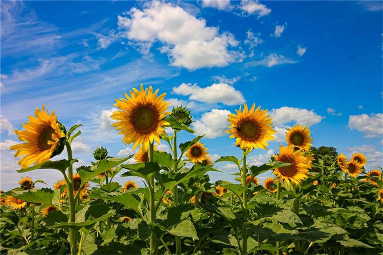 Endlich Besserung! Erfahren Sie, wann sich das Wetter in Deutschland wieder verbessert und welche Temperaturen erwartet werden.