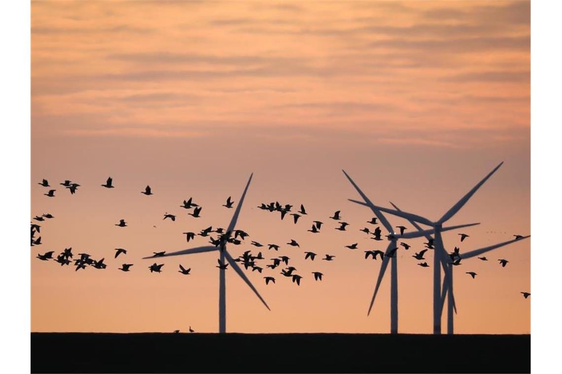 Grüner investieren: Brüssel prüft Förderung von Krediten Energiewende: Die EU-Kommission will dafür sorgen, dass Konsumenten und Anleger mehr Geld in nachhaltige Güter und Projekte investieren. Foto: Christian Charisius/dpa