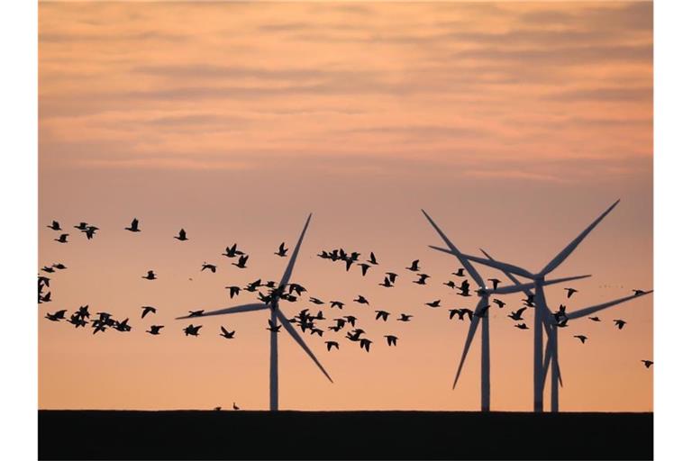 Energiewende: Die EU-Kommission will dafür sorgen, dass Konsumenten und Anleger mehr Geld in nachhaltige Güter und Projekte investieren. Foto: Christian Charisius/dpa