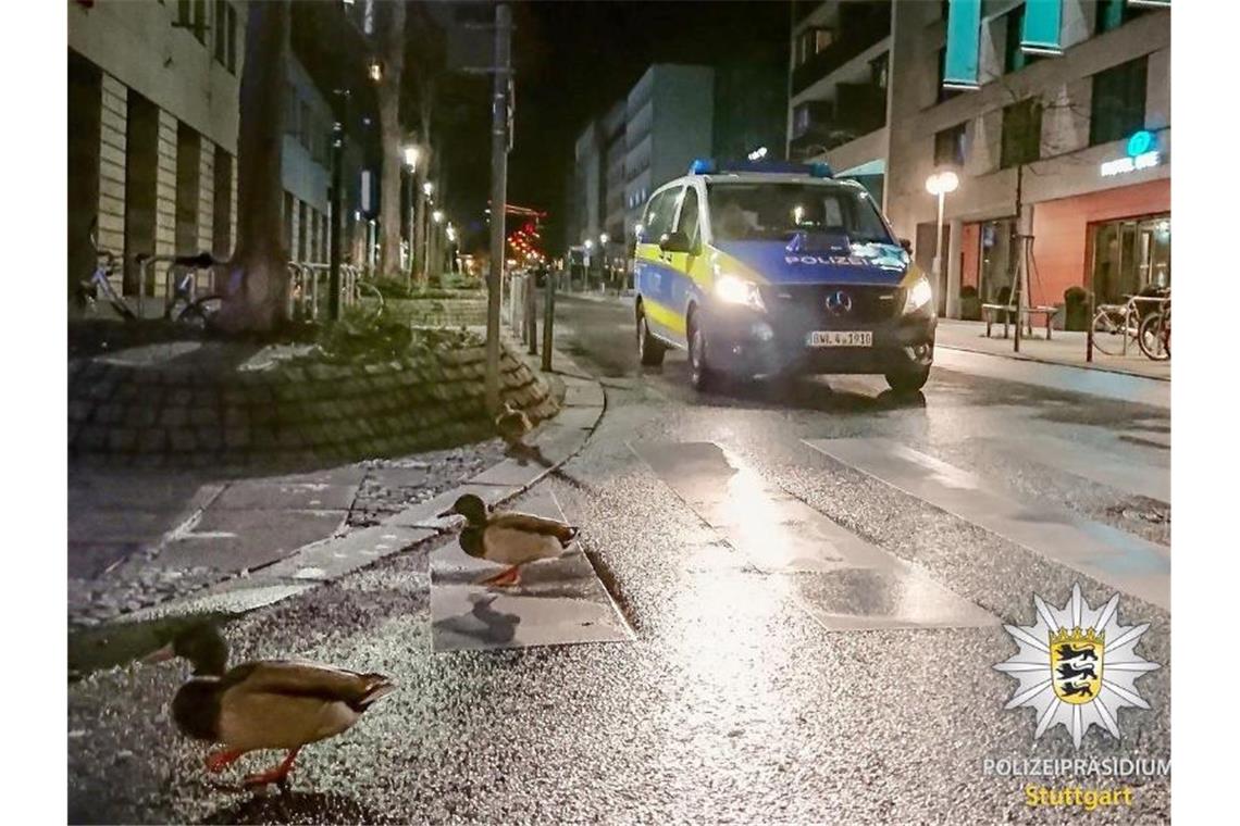 Enten laufen durch die Innenstadt von Stuttgart und werden dabei von einer Polizeistreife angetroffen. Foto: Polizei/Facebook Polizei Stuttgart/dpa
