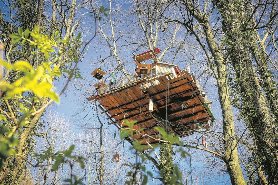 Baumhausbesitzer kämpft für Tierparadies Erbauer Jochen Wahl will für sein Baumhaus kämpfen, zur Not alle Register ziehen und durch alle Instanzen gehen. Foto: A. Becher