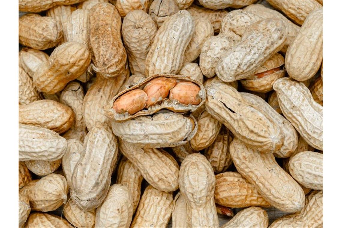 Erdnuss statt Cashew: Hersteller ruft Cashewmus zurück Erdnüsse. Foto: picture alliance/Markus Scholz/dpa/Symbolbild