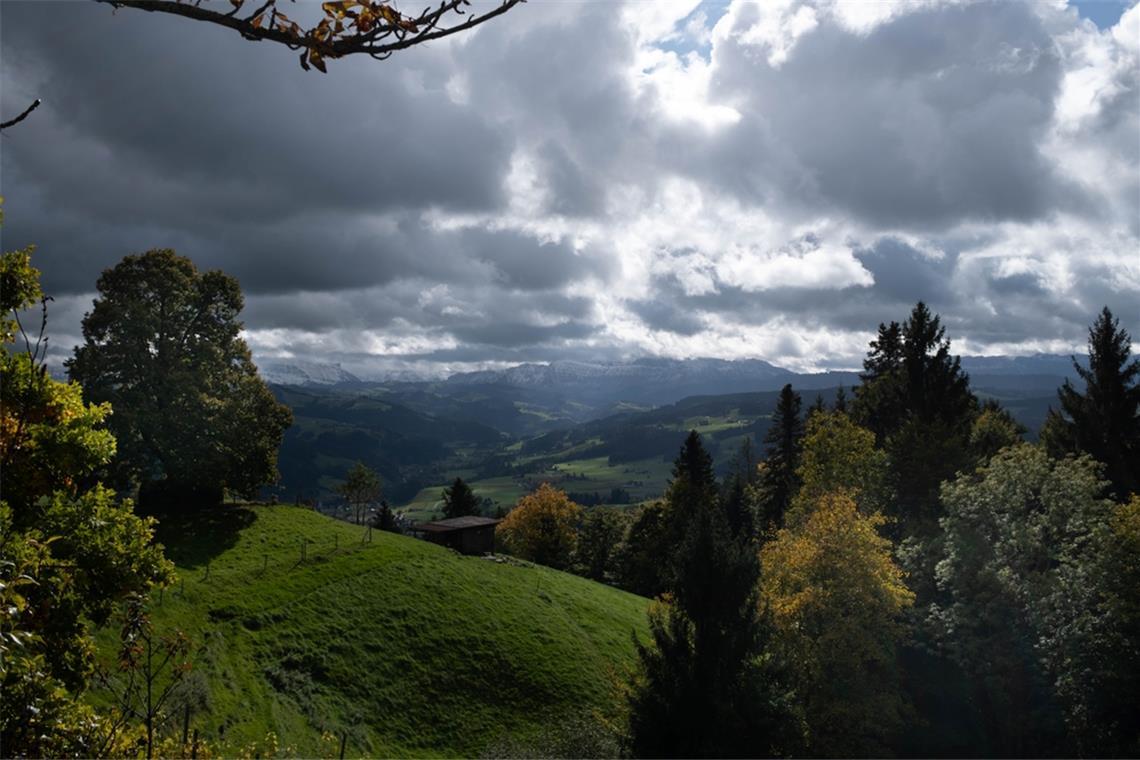 Erfahren Sie alles über den bevorstehenden Wetterumschwung in Deutschland: Frost, dichter Nebel und stürmische Böen. Bleiben Sie informiert.