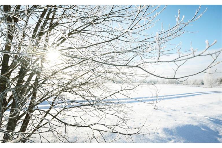 Erfahren Sie, wann das Wetter in Baden-Württemberg wieder besser wird. Aktuelle Vorhersagen, Trends und Tipps für die kommenden Tage.