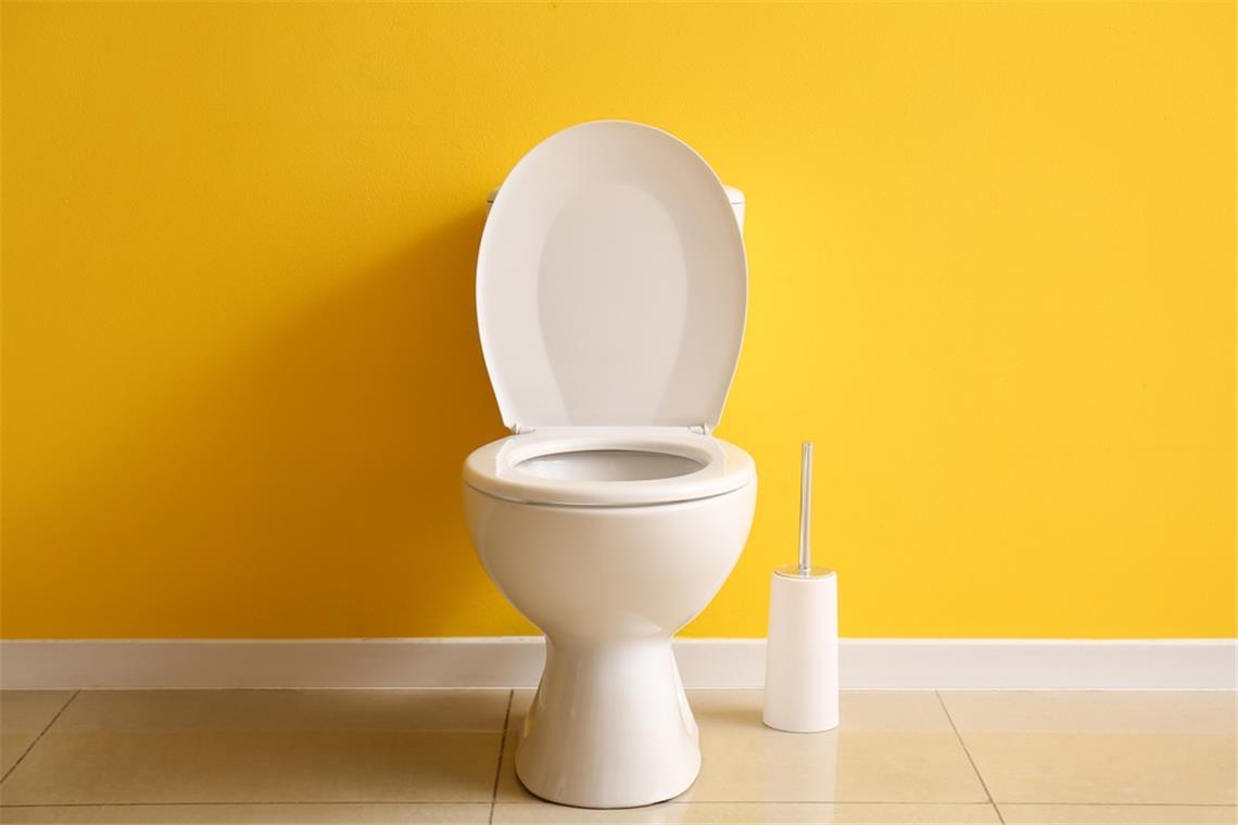 Wie oft sollte man die Toilette putzen? Erfahren Sie, welcher Rhythmus beim Toilettenputz angemessen ist. (Single-, 2-Personen-Haushalt, etc.)