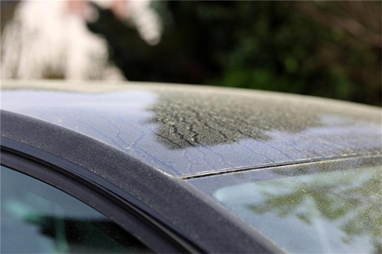 Erfahren Sie, wie lange das Wetterphänomen Deutschland noch begleitet, welche Auswirkungen es hat und wann wieder klare Sicht herrscht.