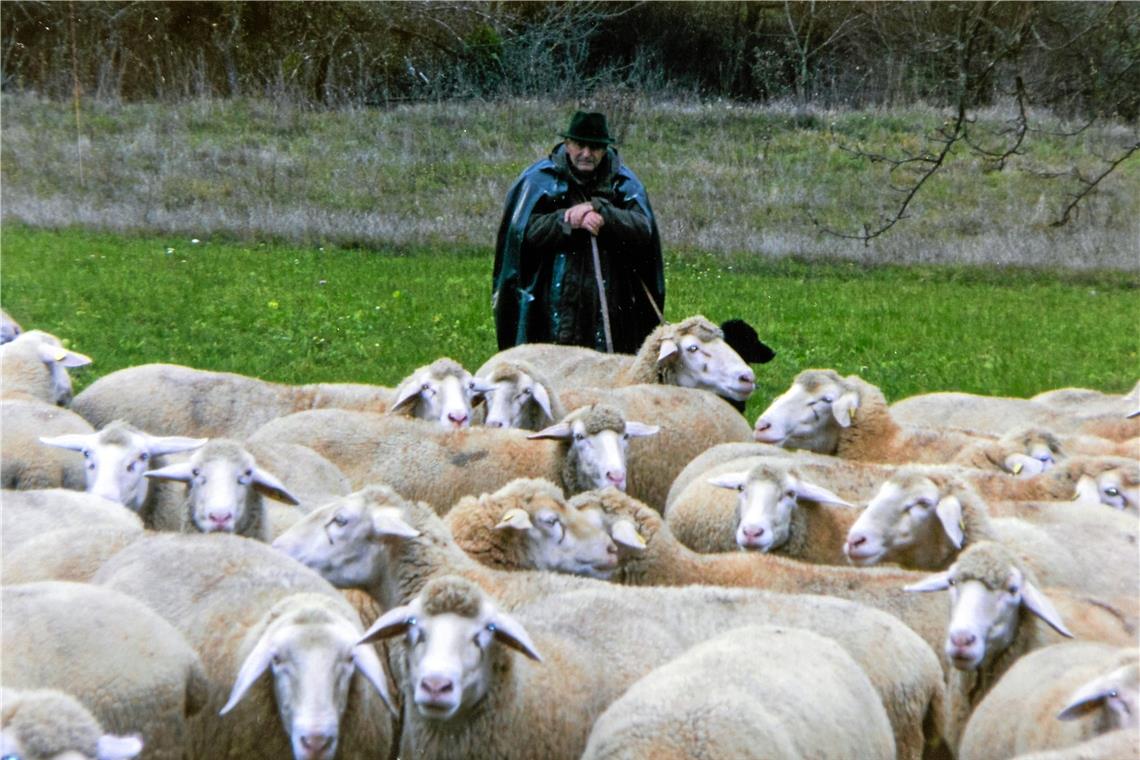 Ein Traditionsberuf im Wandel der Zeit