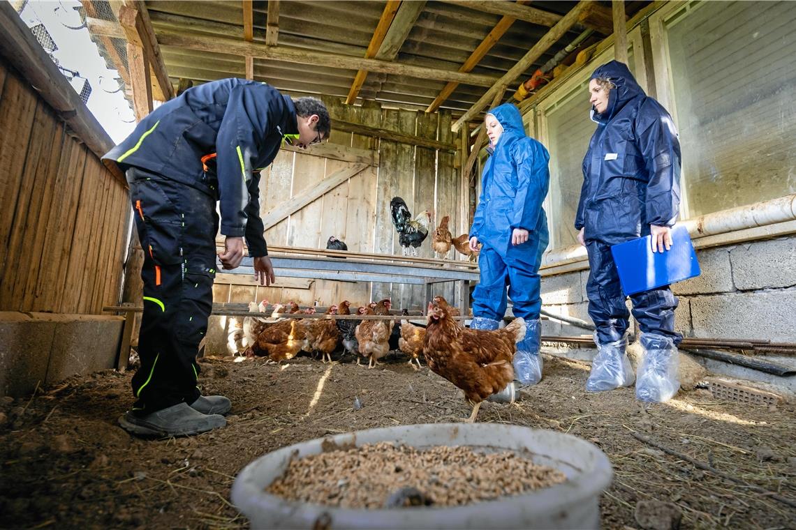 Erik Pfizenmaier (von links) zeigt Veterinärhygienekontrolleurin Julia Schilling und Amtstierärztin Eva-Maria Löken den Auslauf. Foto: Alexander Becher