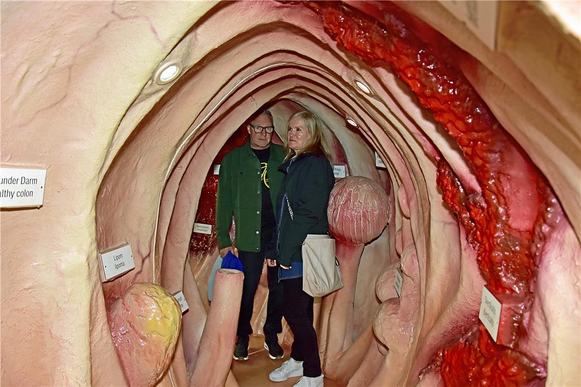 Erlebbare Medizin im begehbaren Darm. Leistungs- und Erlebnismesse in Backnang 2...