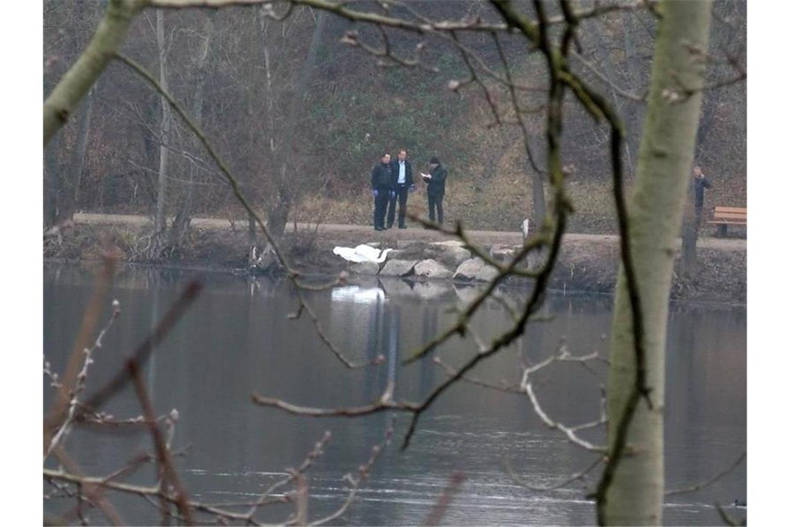 Ermittler der Polizei stehen an einem kleinem See in Mannheim. Foto: Priebe/pr-video/dpa