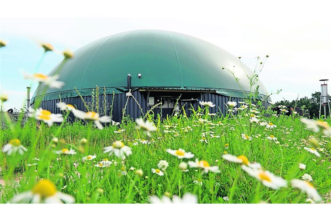 Erneuerbare Energien sollen ohne Zwang gefördert werden: Biogasanlage in Norddeutschland (Symbolbild).