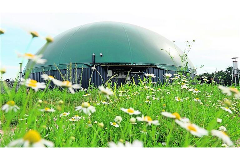 Erneuerbare Energien sollen ohne Zwang gefördert werden: Biogasanlage in Norddeutschland (Symbolbild).