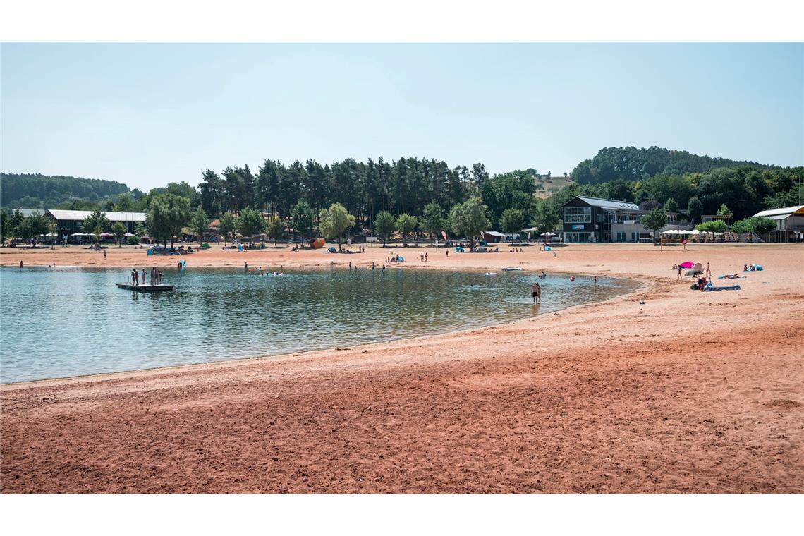 Erneut greift ein Wels einen Schwimmer in der Region an. (Symbolbild)