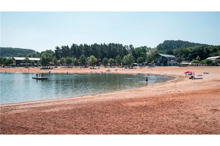 Erneut greift ein Wels einen Schwimmer in der Region an. (Symbolbild)