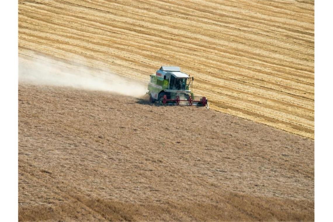 Gericht weist Klimaklage von Biobauern und Greenpeace ab