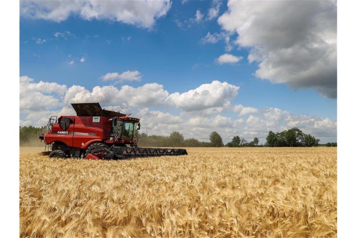 Getreideernte nur unter Durchschnitt Ernteauftakt im sächsischen Pegau. Foto: Jan Woitas/dpa-Zentralbild/dpa