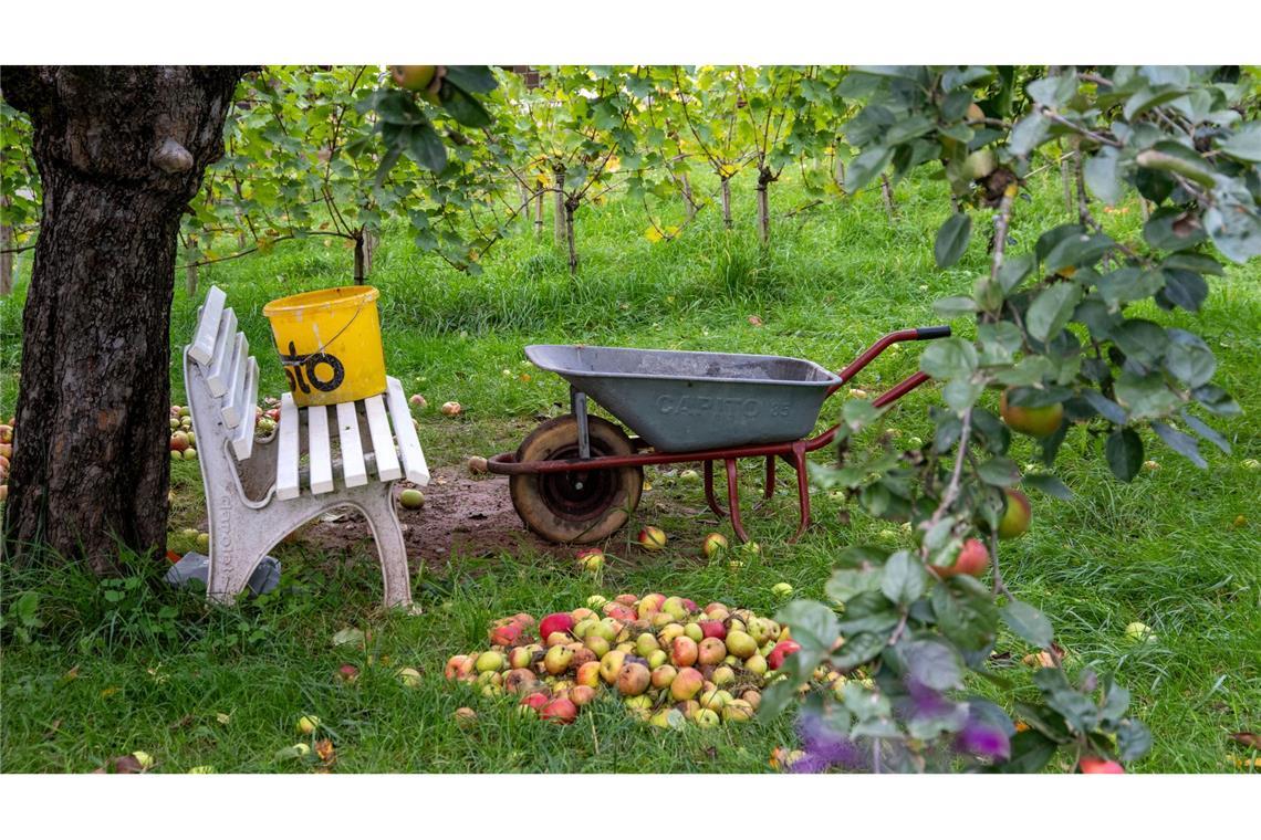 Erntedankfest: Herbstliche Stimmung auf dem Land in Untermerzbach