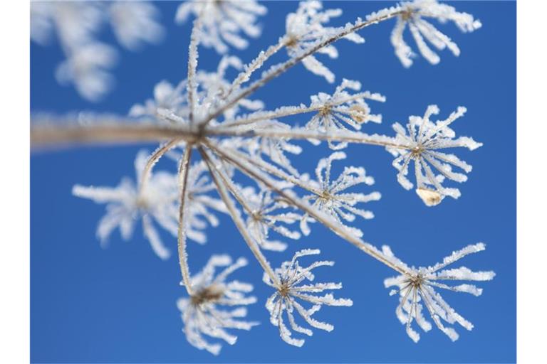 Erst richtig kalt, dann „eine signifikante Wetterumstellung“: Das Wetter in Deutschland wird milder. Foto: Matthias Bein/dpa-Zentralbild/ZB