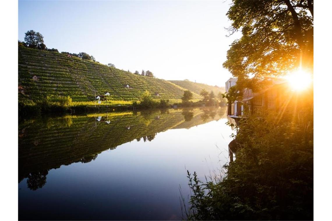 Erste Sonnenstrahlen fallen am Morgen auf die Weinberge am Neckar. Foto: Christoph Schmidt/dpa