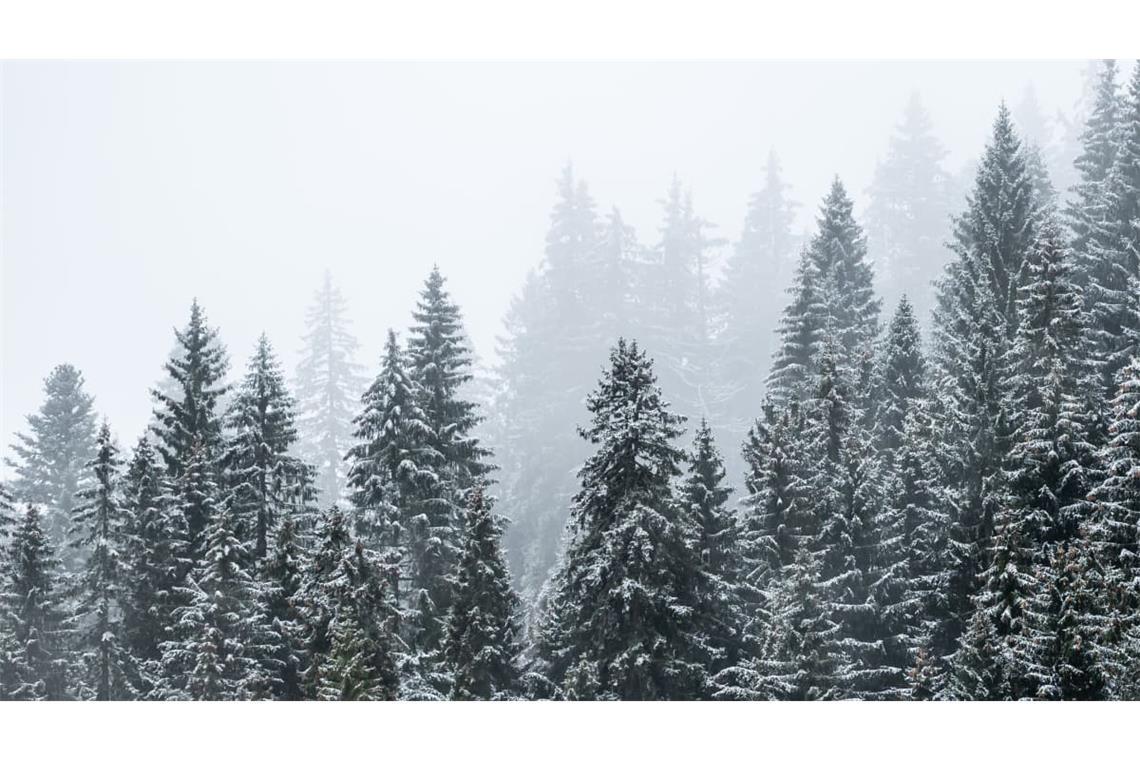 Erster Schnee wird diese Woche auf dem Feldberg erwartet (Archivbild).