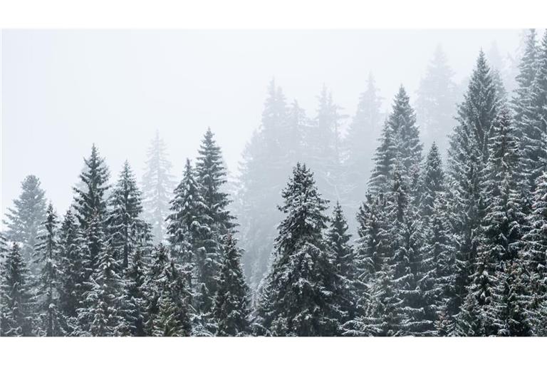 Erster Schnee wird diese Woche auf dem Feldberg erwartet (Archivbild).