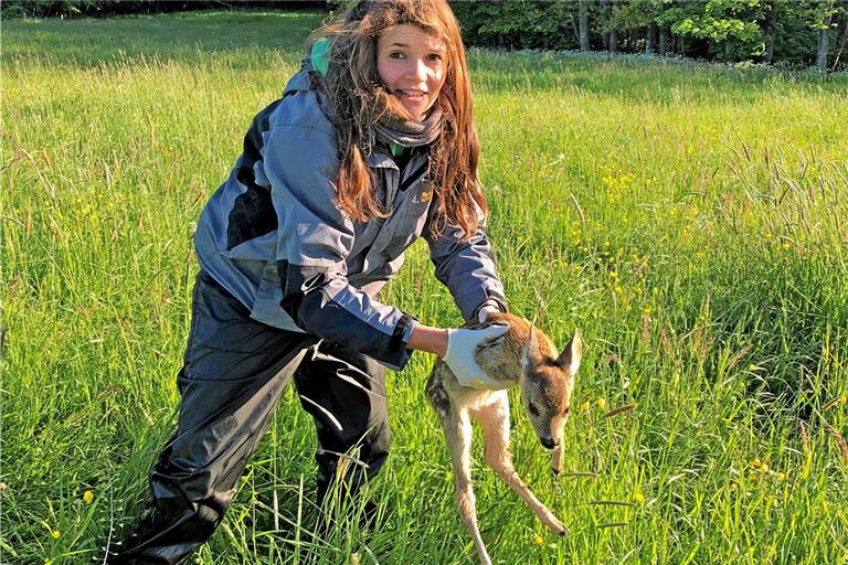 Erwischt: Dank der Wärmebilder aus der Luft hat Stefanie Stärk das Rehkitz im hohen Gras entdeckt und bringt es in Sicherheit, bevor die Wiese gemäht wird. Foto: Flugmodus 
