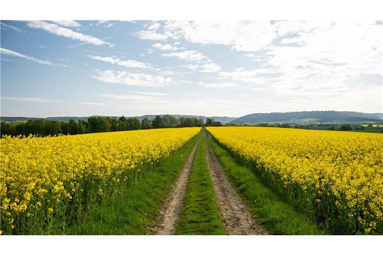 Es bleibt sonnig im Südwesten.