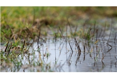 Es droht Hochwasser (Symbolbild).