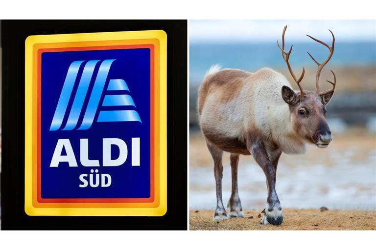 Es geht um Haarspangen von Aldi Süd mit Rentier-Motiv (Symbolbilder).