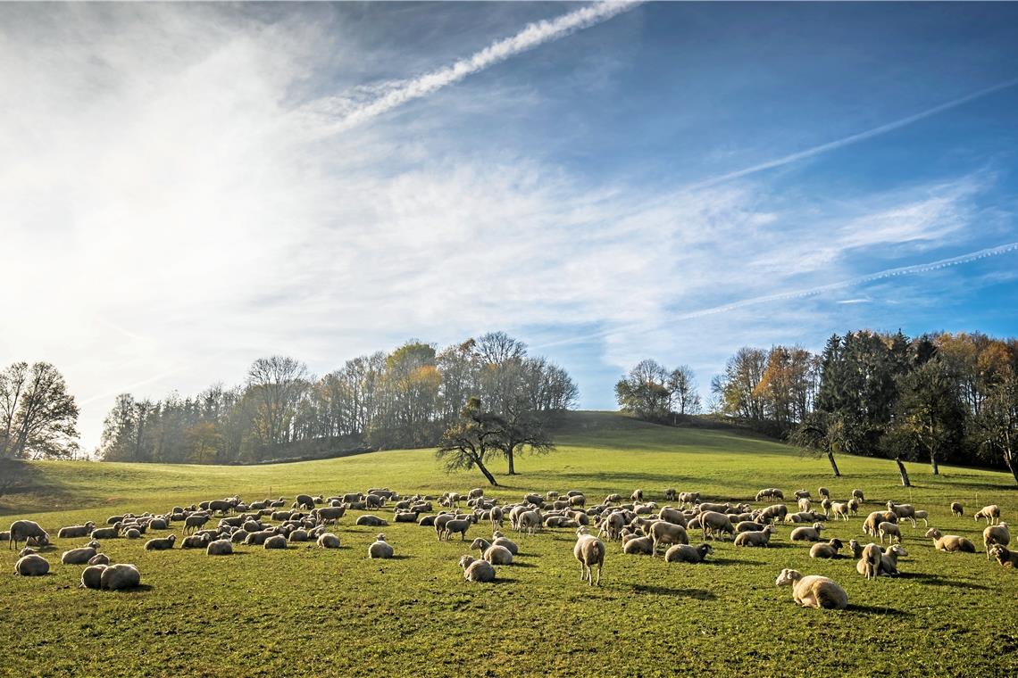 Im Einsatz für Artenvielfalt und Tierwohl