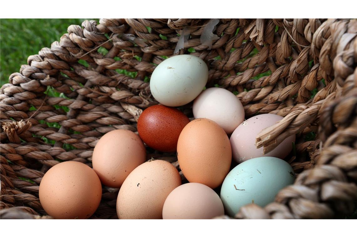 Italienische Physiker: So wird das Frühstücksei perfekt Es gibt nicht nur verschiedene Eier, sondern auch höchst verschiedene Arten, sie zu garen. (Archivbild)